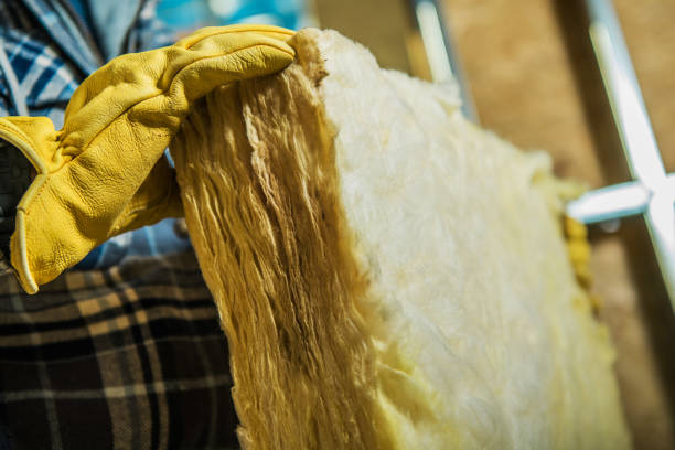 Best Cellulose Insulation in Buffalo, OK