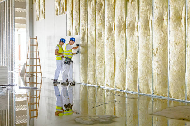 Best Specialized Insulation Services in Buffalo, OK